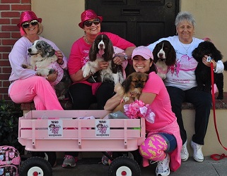 Image of Team Wag; Breast Cancer Walk For Awareness
