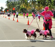 Wag For Awareness Breast Cancer Walk